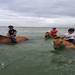 In Near The Sea דירה
