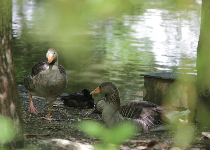 In Near The Sea * Quend